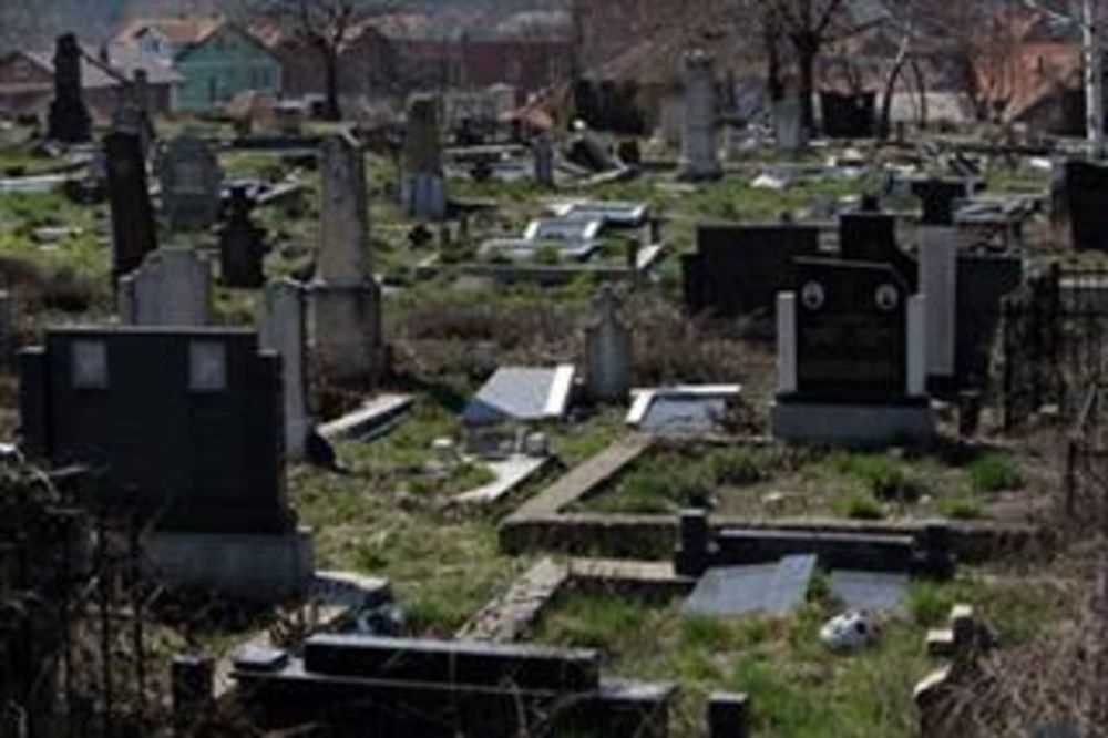 category photo