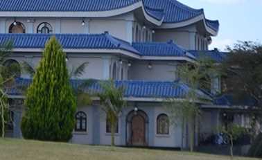category photo