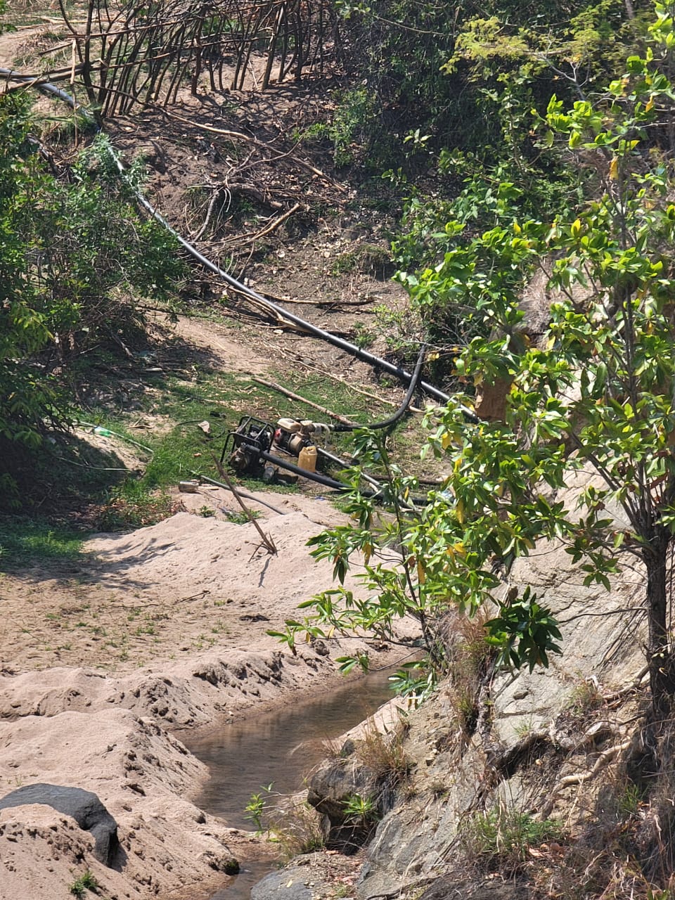 Solar Pump Keeps Mutoko Farmer Going as River Dries Up